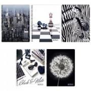 Opakowanie Brulion na spirali A4/70K kratka Zima 2015 (5szt)