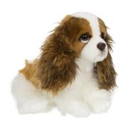 Opakowanie King Charles Spaniel 20cm
