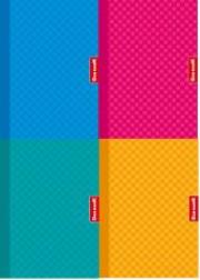 Opakowanie Kołozeszyt B5/160K krata 1074 pastel MIX (4szt)