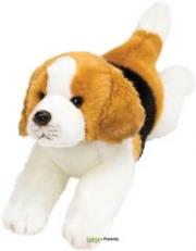 Opakowanie Leżący Beagle 30 cm SUKI