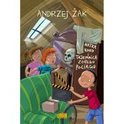 Natka, Koko i tajemnica złotego pociągu. Autor: Żak Andrzej. Dadada.pl Okładka książki Natka, Koko i tajemnica złotego pociągu