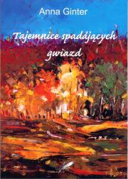 Tajemnice spadających gwiazd. Autor: Ginter Anna. Dadada.pl Okładka książki Tajemnice spadających gwiazd