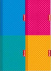 Opakowanie Teczka z gumką A4 1074 pastele (10szt)