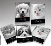 Opakowanie Zeszyt A5/16K kratka Cat&Dog (20szt)