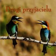 Okładka książki Ziarenka 10 Drogi przyjacielu