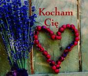 Okładka książki Ziarenka 2 Kocham Cię