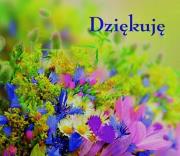 Okładka książki Ziarenka 4 Dziękuję