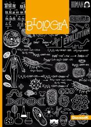 Opakowanie Brulion A5/80K kratka OT ze ściągą Biologia (5szt)