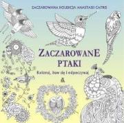 Koloruj, baw się i odpoczywaj. Zaczwrowane ptaki. Autor: Catris Anastasia. Dadada.pl Okładka książki Koloruj, baw się i odpoczywaj. Zaczwrowane ptaki