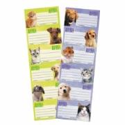 Opakowanie Naklejki na zeszyt Animal Planet Cute 25szt