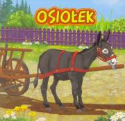 Osiołek JAFI. Autor: Katarzyna Campbell. Dadada.pl Okładka książki Osiołek JAFI