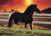 Puzzle 1000 Koń DINO. Wydawca: Dino Toys. Dadada.pl Opakowanie Puzzle 1000 Koń DINO
