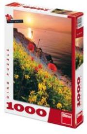 Opakowanie Puzzle 1000 Maki DINO