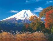 Opakowanie Puzzle 500 Fuji DINO