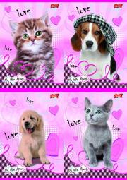 Opakowanie Zeszyt A5 My little friend w trzy linie 16 kartek 15 sztuk mix