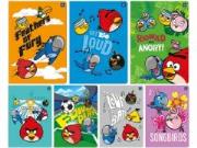 Opakowanie Zeszyt A5/16K kolorowa linia Angry Birds (20szt)