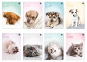 Opakowanie Zeszyt A5/32K kolorowa linia Puppy Sign mix(10szt)
