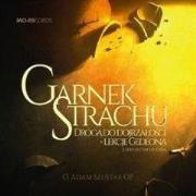 Okładka książki Garnek strachu audiobook