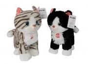 Opakowanie Kot Cykor z dźwiękiem 20 cm, 2 kolory