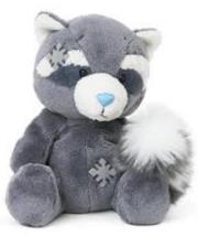 Okładka książki Miś Blue Nose - Szop Pracz