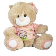 Opakowanie Miś Jeremiasz w koszulce łososiowej 30cm