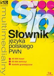 Opakowanie Multimedialny słownik języka polskiego