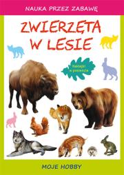 Nauka przez zabawę - Zwierzeta w lesie. Autor: Tina Zakierska. Dadada.pl Okładka książki Nauka przez zabawę - Zwierzeta w lesie