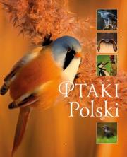 Ptaki Polski. Autor: Matoga Karolina. Dadada.pl Okładka książki Ptaki Polski
