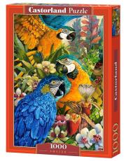 Puzzle 1000 Amazonka CASTOR. Wydawca: Castorland. Dadada.pl Opakowanie Puzzle 1000 Amazonka CASTOR