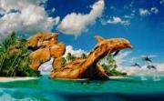 Puzzle 1000 Dolphin Paradise CASTOR. Wydawca: Castorland. Dadada.pl Opakowanie Puzzle 1000 Dolphin Paradise CASTOR