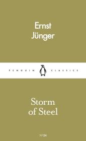 Storm of Steel. Autor: Junger Ernst. Dadada.pl Okładka książki Storm of Steel