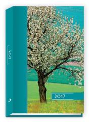 Opakowanie Terminarz 2017 B6 kolor - drzewo