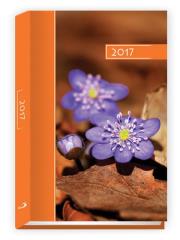 Opakowanie Terminarz 2017 B6 kolor - kwiatki