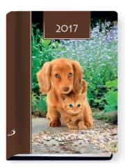 Opakowanie Terminarz 2017 B7 Kolor - zwierzaki