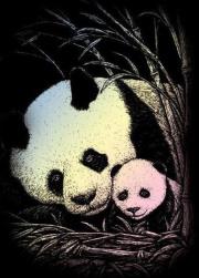 Opakowanie Wydrapywanka holograficzna mini Panda