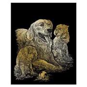 Opakowanie Wydrapywanka złota Golden Retriever