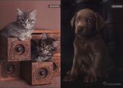 Opakowanie Zeszyt A4 Rachael Hale w kratkę 60 kartek 5 sztuk mix