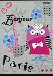 Opakowanie Zeszyt A5 TOP-2000 w kratkę 60 kartek Lam 4 Girls 10 sztuk