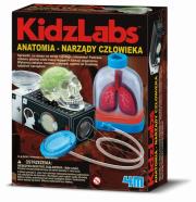 Okładka książki Anatomia Narządy człowieka