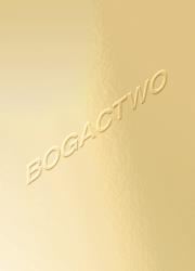 Bogactwo. Autor: red. Magdalena Komornicka, Kołodziejczyk Katarzyna. Dadada.pl Okładka książki Bogactwo