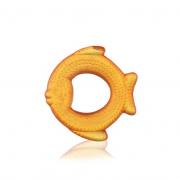 Okładka książki Gryzak wodny Rybka pomarańczowy