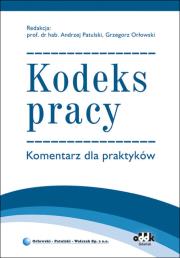Kodeks pracy. Komentarz dla praktyków. Autor: Grzegorz Orłowski (red.). Dadada.pl Okładka książki Kodeks pracy. Komentarz dla praktyków