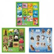 Opakowanie Naklejki Sticker BOO kwadrat Animal Planet 25szt