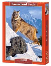 Puzzle Austere Ascent 1000. Wydawca: Castorland. Dadada.pl Opakowanie Puzzle Austere Ascent 1000