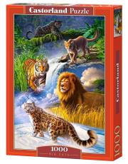 Puzzle Big Cats 1000. Wydawca: Castorland. Dadada.pl Opakowanie Puzzle Big Cats 1000