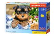 Opakowanie Puzzle Puppy-on-a-Picnic 300