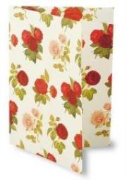 Opakowanie Teczka na dokumenty FF 534B ROSSI