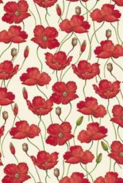 Opakowanie Teczka na dokumenty FF 583B ROSSI