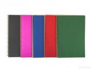 Opakowanie Brulion na spirali A4/70K kratka Rainbow (5szt)