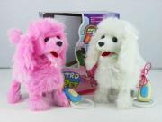 Opakowanie Interaktywny pies na smyczy Metro Pet 2 kolory